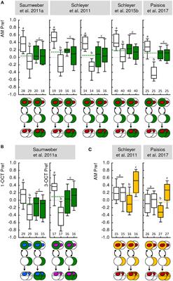 Associative Learning of Stimuli Paired and Unpaired With Reinforcement: Evaluating Evidence From Maggots, Flies, Bees, and Rats